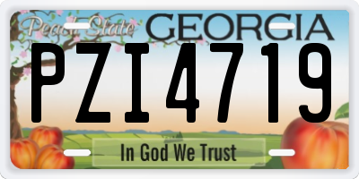 GA license plate PZI4719