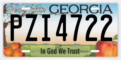GA license plate PZI4722