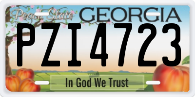 GA license plate PZI4723