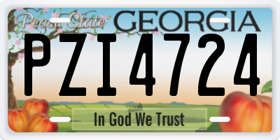 GA license plate PZI4724