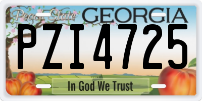GA license plate PZI4725