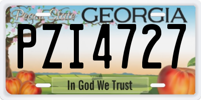 GA license plate PZI4727