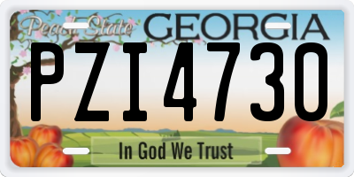 GA license plate PZI4730