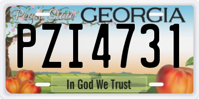GA license plate PZI4731