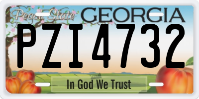 GA license plate PZI4732