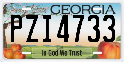 GA license plate PZI4733