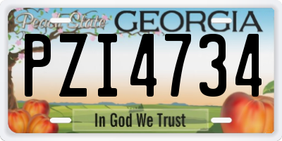 GA license plate PZI4734