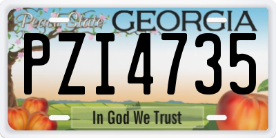 GA license plate PZI4735
