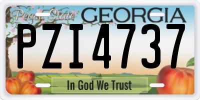 GA license plate PZI4737