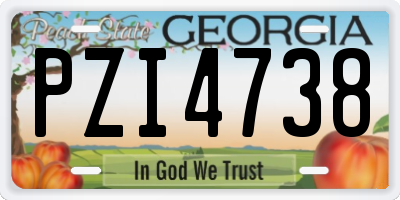 GA license plate PZI4738
