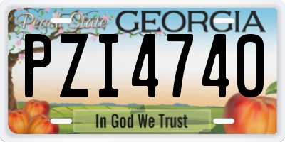 GA license plate PZI4740