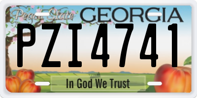 GA license plate PZI4741