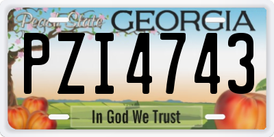 GA license plate PZI4743