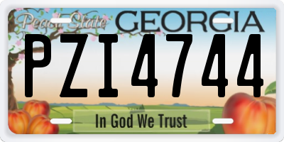 GA license plate PZI4744