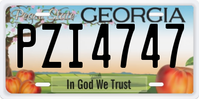 GA license plate PZI4747