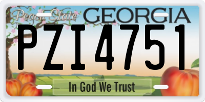 GA license plate PZI4751