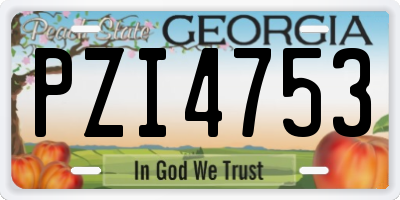 GA license plate PZI4753