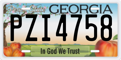 GA license plate PZI4758