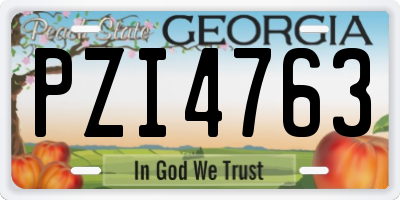 GA license plate PZI4763