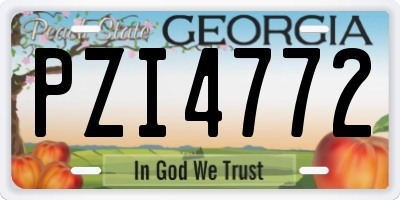 GA license plate PZI4772