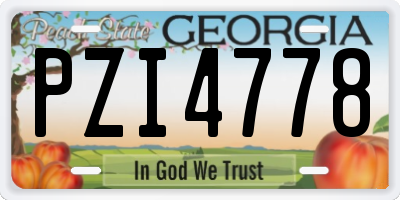 GA license plate PZI4778