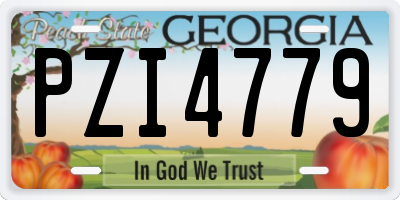 GA license plate PZI4779