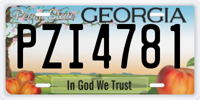 GA license plate PZI4781