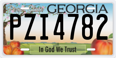 GA license plate PZI4782