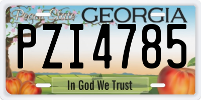 GA license plate PZI4785