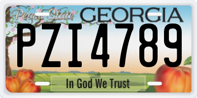 GA license plate PZI4789