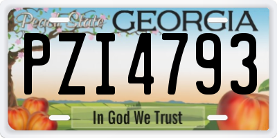 GA license plate PZI4793