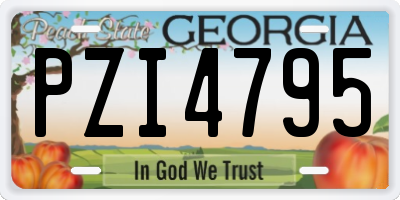 GA license plate PZI4795