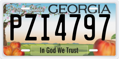 GA license plate PZI4797