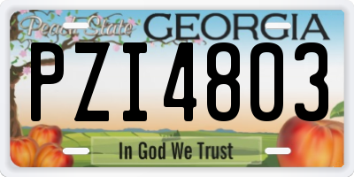 GA license plate PZI4803