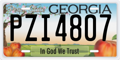 GA license plate PZI4807