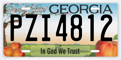 GA license plate PZI4812