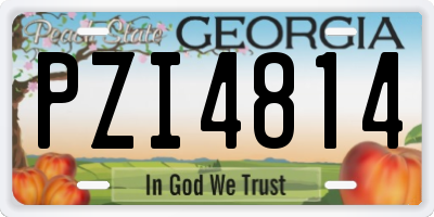 GA license plate PZI4814
