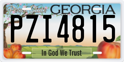 GA license plate PZI4815