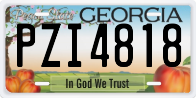 GA license plate PZI4818