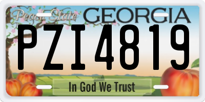 GA license plate PZI4819