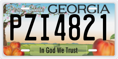 GA license plate PZI4821
