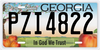 GA license plate PZI4822