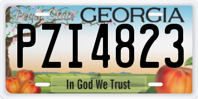 GA license plate PZI4823