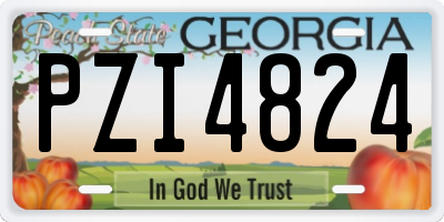 GA license plate PZI4824