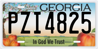 GA license plate PZI4825