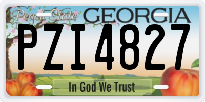 GA license plate PZI4827