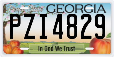 GA license plate PZI4829