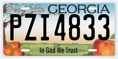 GA license plate PZI4833