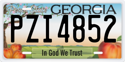GA license plate PZI4852