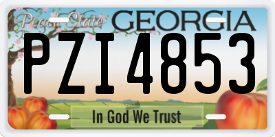 GA license plate PZI4853